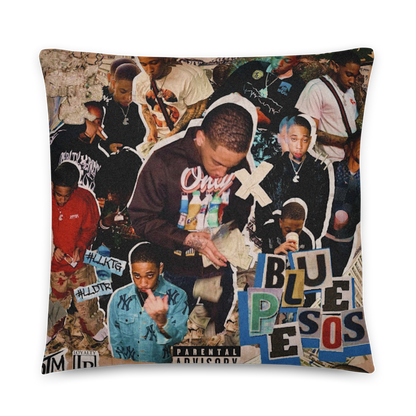Blue Pesos Pillow